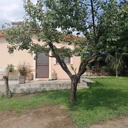 Tiny House By The Sea Villa Nea Skioni Bagian luar foto