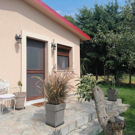Tiny House By The Sea Villa Nea Skioni Bagian luar foto