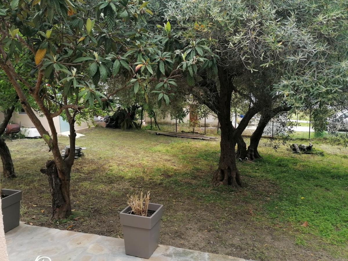 Tiny House By The Sea Villa Nea Skioni Bagian luar foto