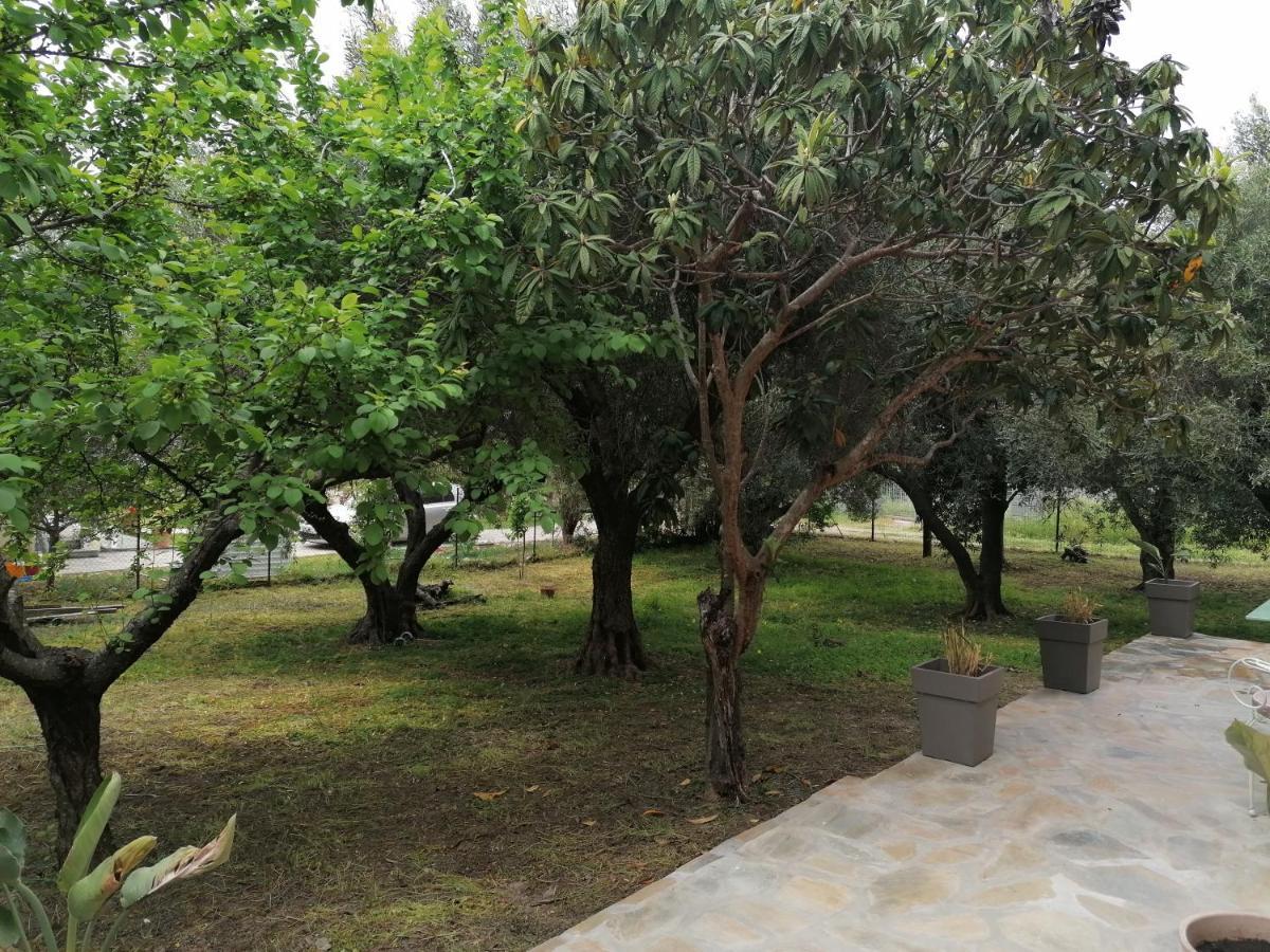 Tiny House By The Sea Villa Nea Skioni Bagian luar foto