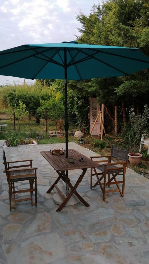 Tiny House By The Sea Villa Nea Skioni Bagian luar foto