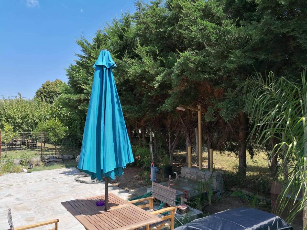 Tiny House By The Sea Villa Nea Skioni Bagian luar foto