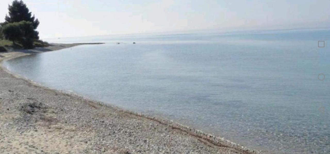 Tiny House By The Sea Villa Nea Skioni Bagian luar foto